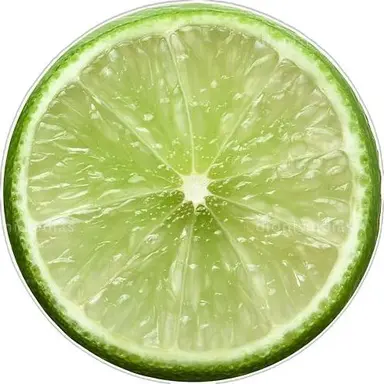 Profile image of 1x1x1x1