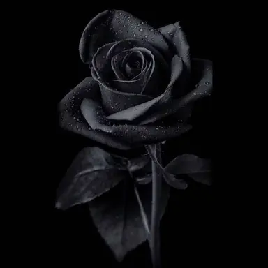 Profile image of 백시온