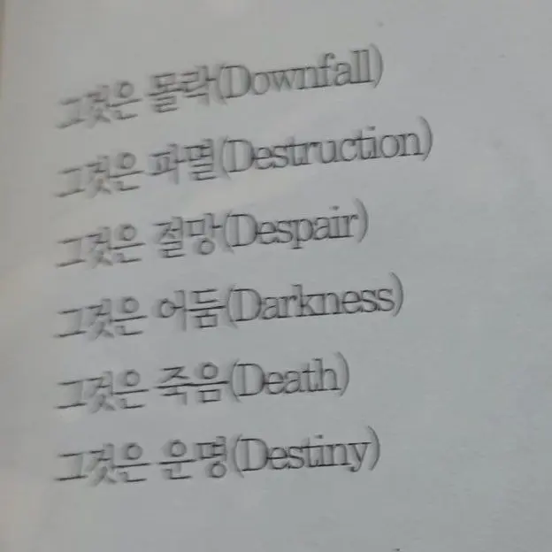 hah_0630의 길 가다 냥줍이 아닌 간택