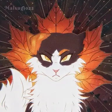 Profile image of DarkMaple