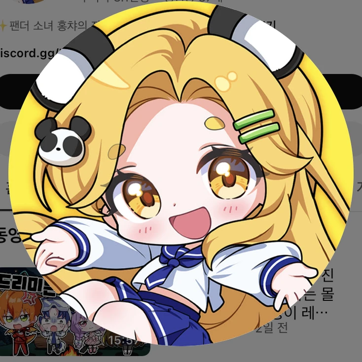 홍챠