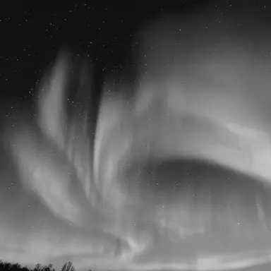 Profile image of 강여상