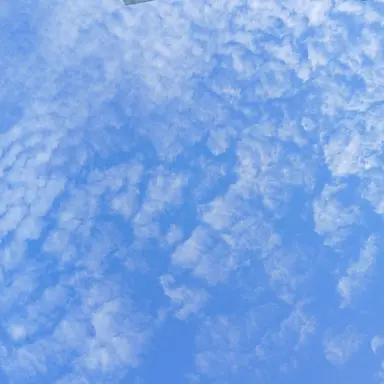 Profile image of 괴수 8호