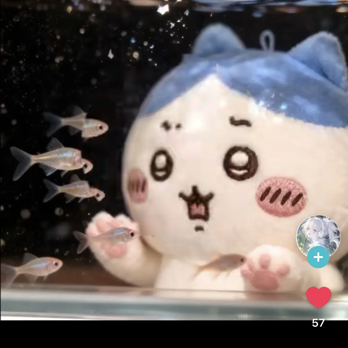 pop1199000의 보건실에서 선생님 몰래