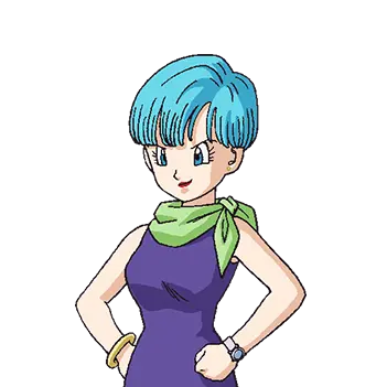 Profile image of ブルマ