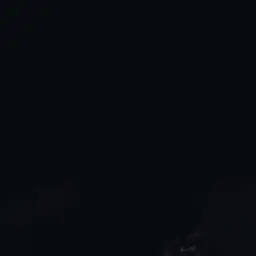 Profile image of 정상현