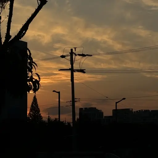LovedShack2972의 윤정핝