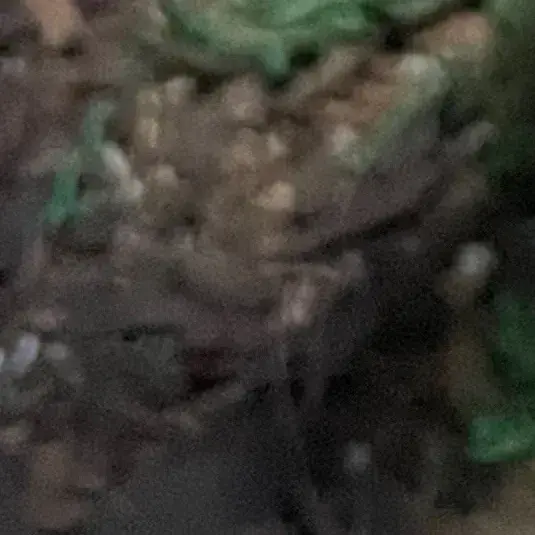 MaroonMole4909의 Httyd group mystery rider