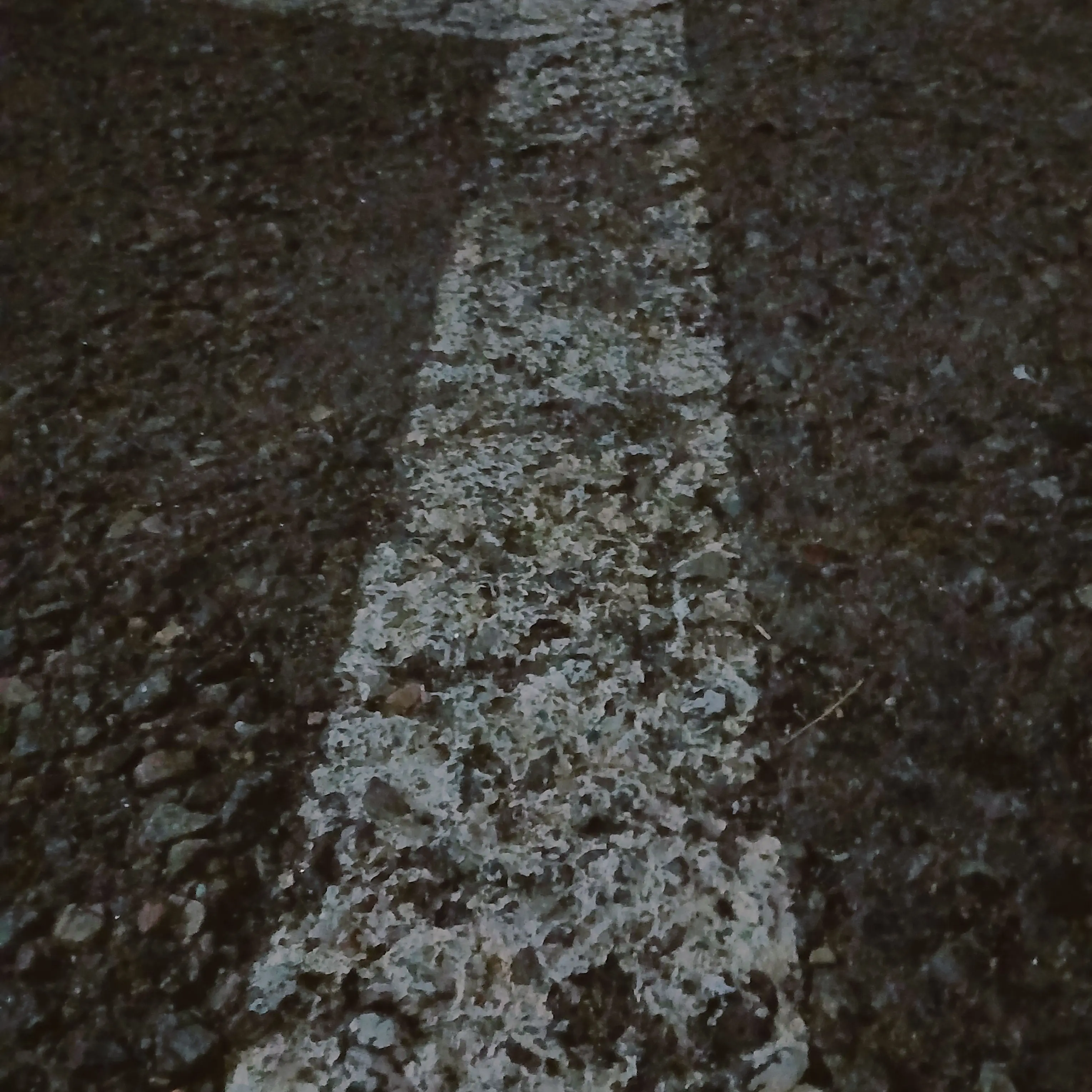 TestyPaste3111의 카스텔 소공작