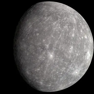 Profile image of 수성