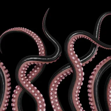 Profile image of 触手