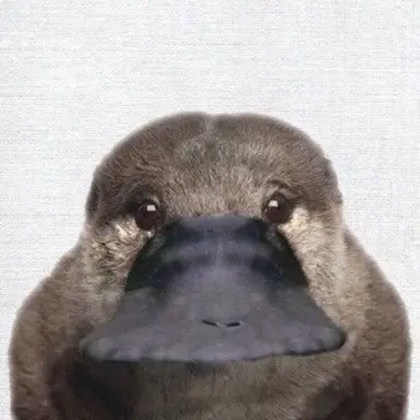 Profile image of 시온