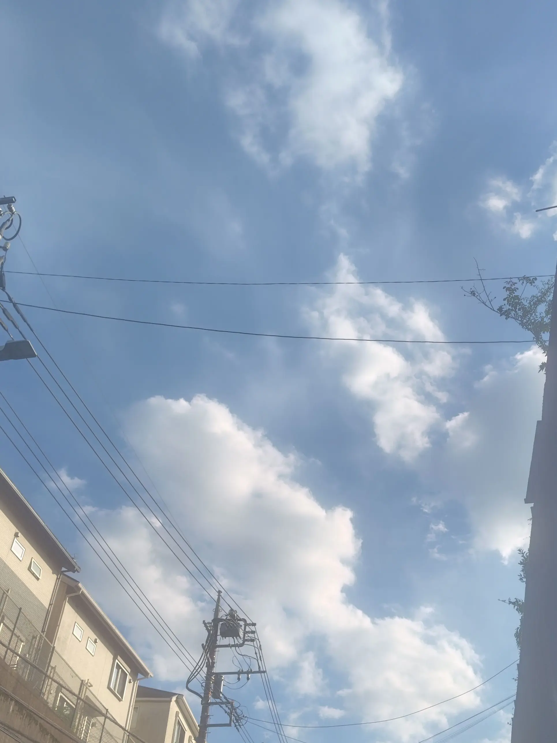 Yamato_0407의 雲の上で愛を叫んで