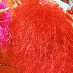 Profile image of しゅんた