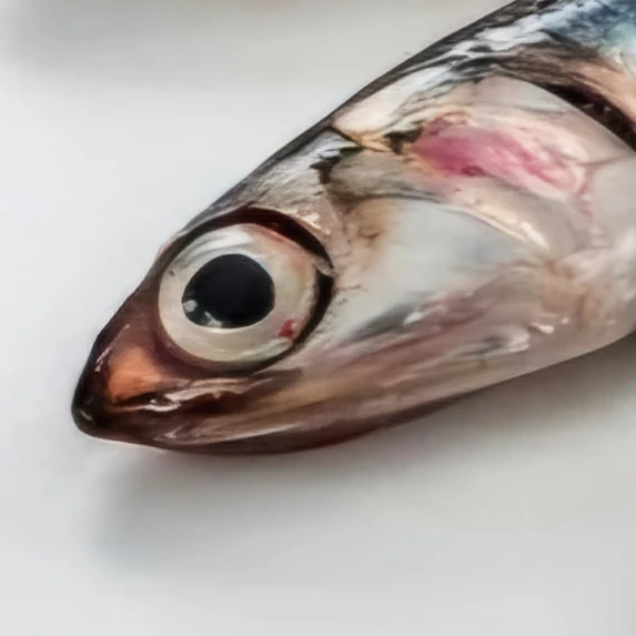 멸치볶음