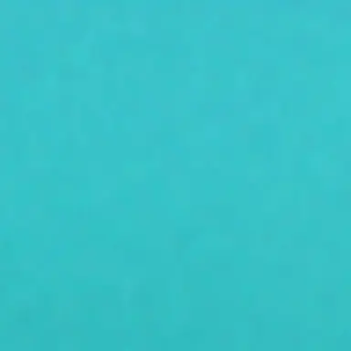 Profile image of イブラヒム