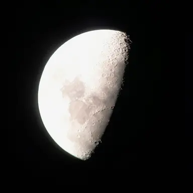 Profile image of 유기사 평학 준빵