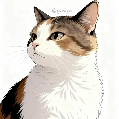 Profile image of 콩이