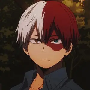 Profile image of Shoto Todoroki
