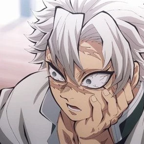 시나즈가와 사네미