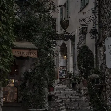 Profile image of サーシャ