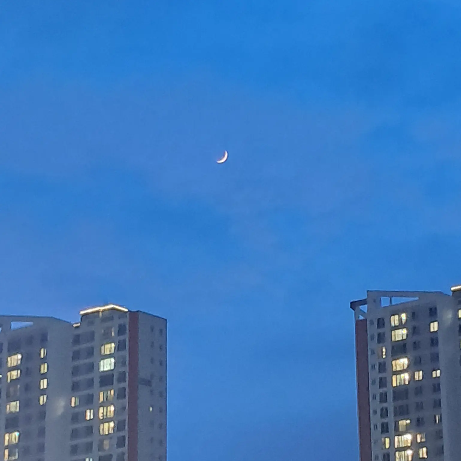 NimbleFlame3920의 엉덩이 때리는 오빠