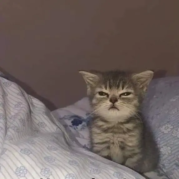 HappyStage7559의 교환학생 석현우