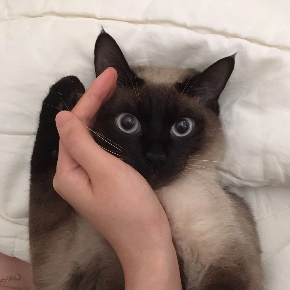 산
