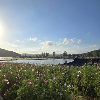 Profile image of 버튜버 RPG