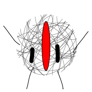 Profile image of 냄비