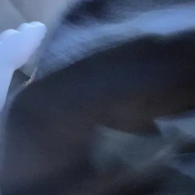 Profile image of 양정인