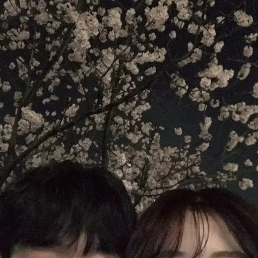 박규빈