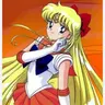 Profile image of セーラーヴィーナス