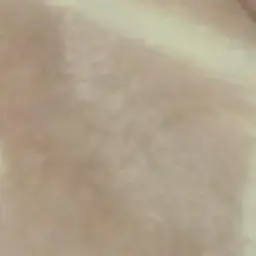 Profile image of 女子高生達