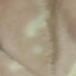 Profile image of 広島