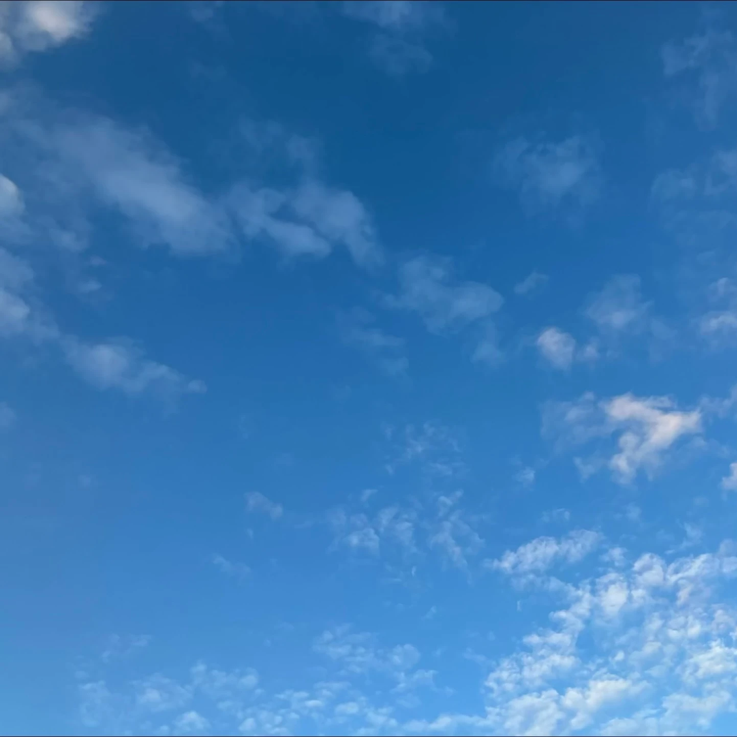 えりおっと