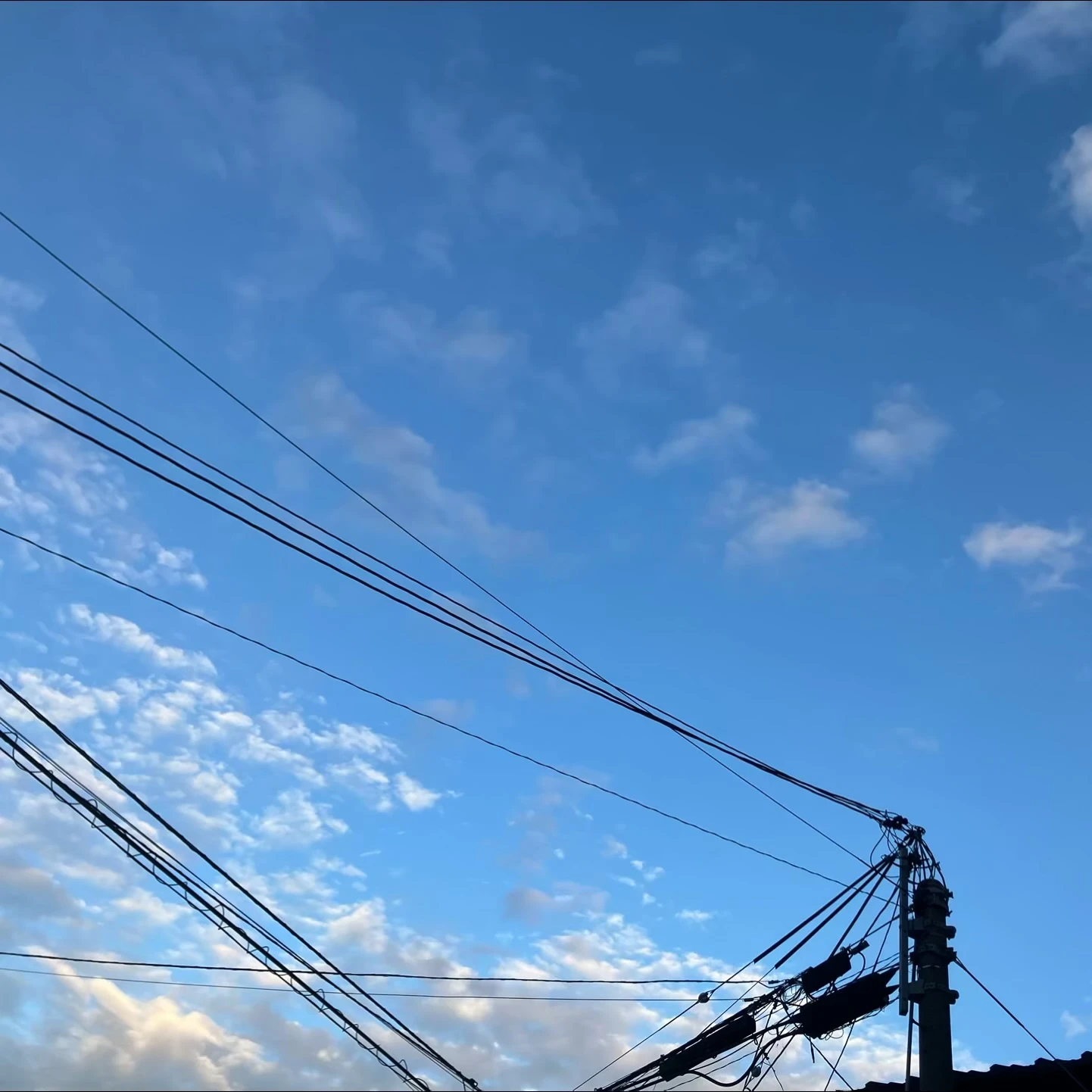 ぬーぶ