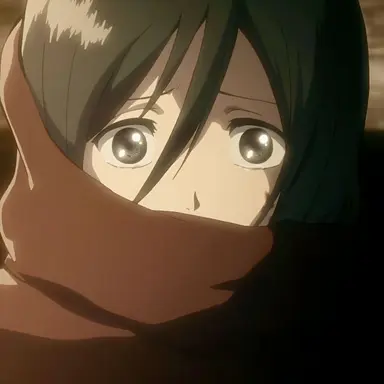 Profile image of 미카사