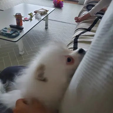 Profile image of ㅈ고인물omija