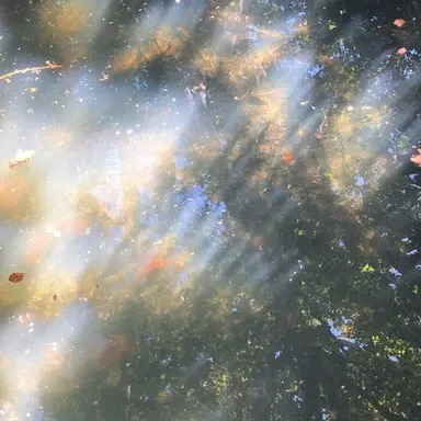 Profile image of 장유진