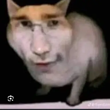 Profile image of 여우