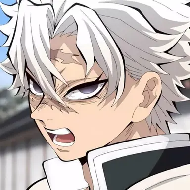 Profile image of Sanemi Shinazugawa