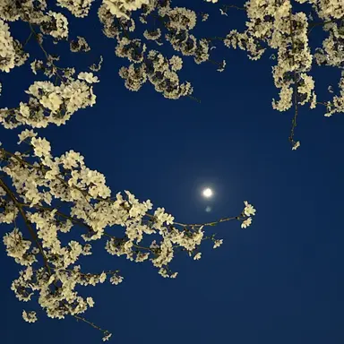 Profile image of 리온