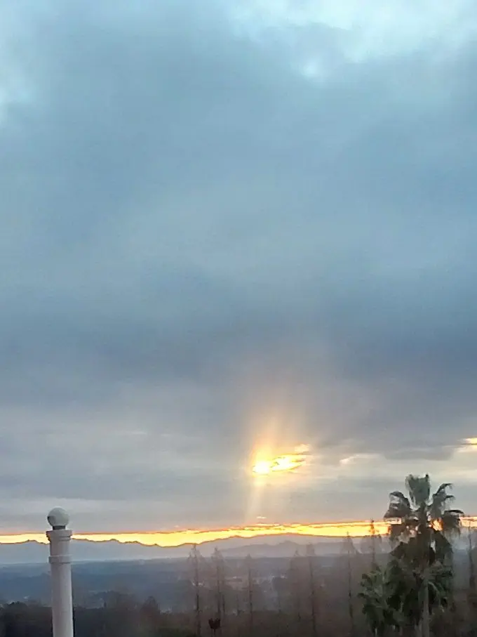 RedNose2739의 에도시대에서 생존하기