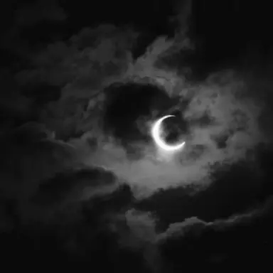 Profile image of 일록