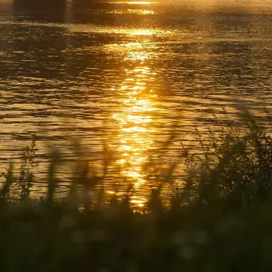 Profile image of 백금