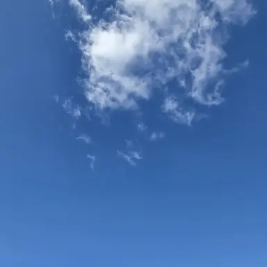 Profile image of 유저