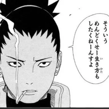 Profile image of シカマル