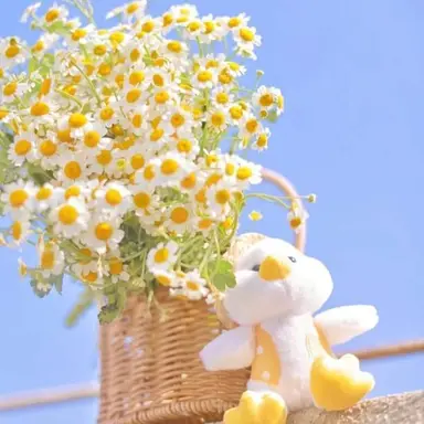 Profile image of 꽥