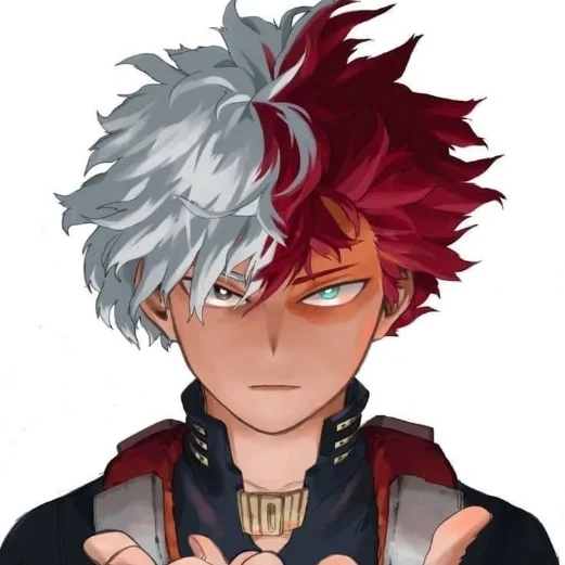 Todoroki